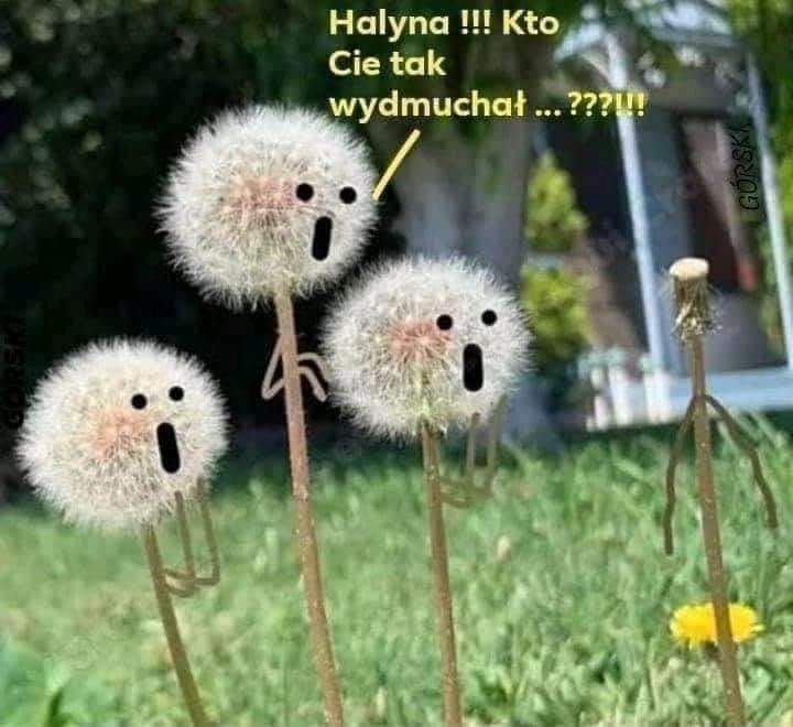 180917237_10226995830508042_5853694973087971169_n