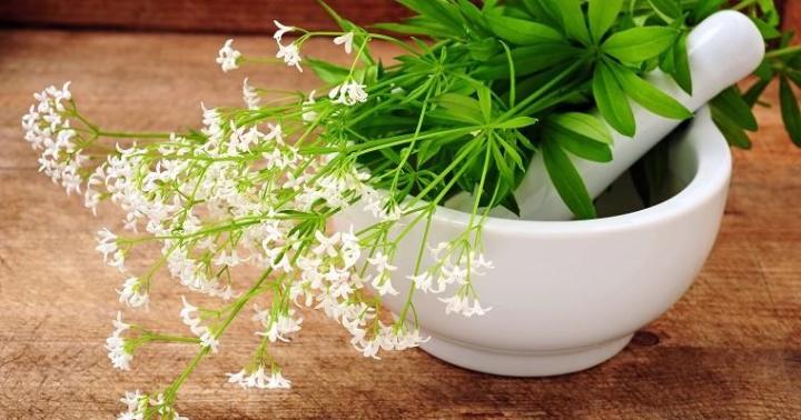 hydrangea100-gettyimages-474398762-jpg