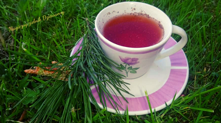 Magiczny zielnik Dziewanny.png