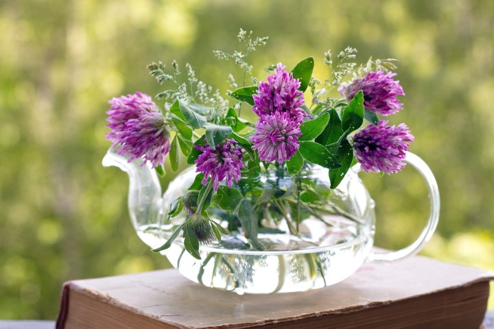 flowers-gfb53e95f4_1280