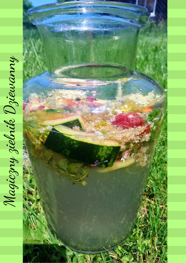 Magiczny zielnik Dziewanny.png