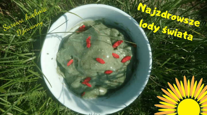 Najzdrowsze lody świata.png