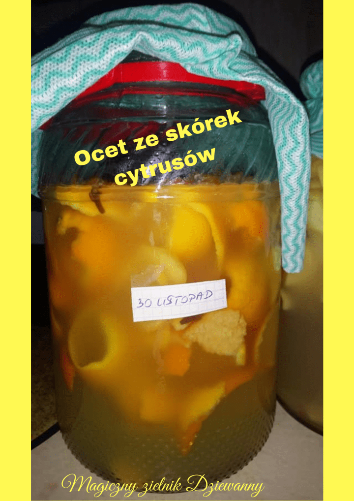 Ocet ze skórek cytrusówElżbieta Braja Malec.png