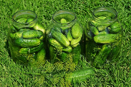 cucumbers-849268__340.jpg