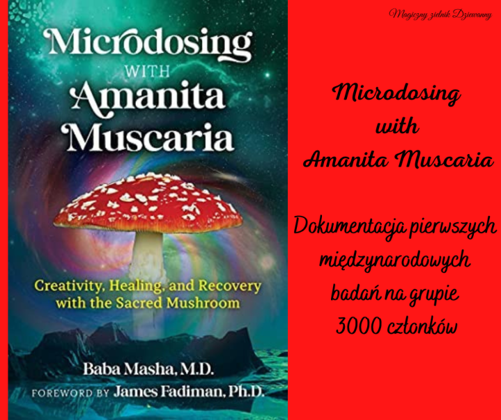 Microdosing with Amanita Muscaria Dokumentacja pierwszych międzynarodowych badań na grupie 3000 członków