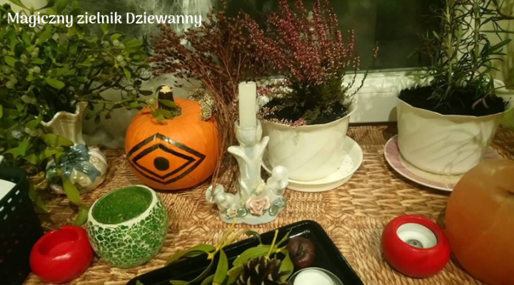 Magiczny zielnik Dziewanny (1).png