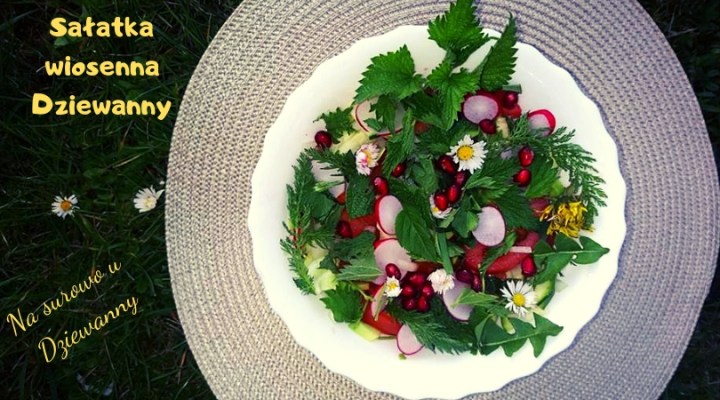 Sałatka wiosenna Dziewanny.jpg