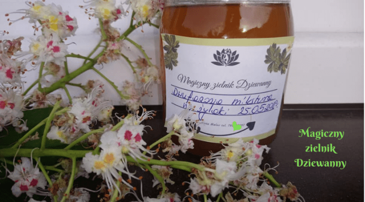 magiczny-zielnik-dziewanny-5.png