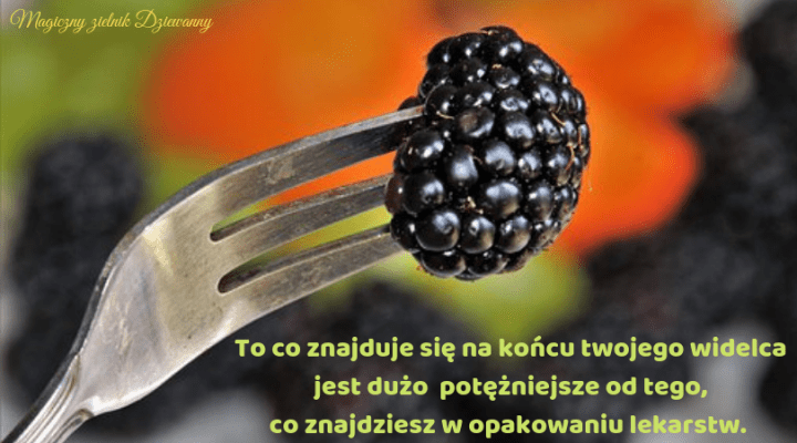 To co znajduje się na końcu twojego widelca jest dużo potężniejsze od tego, co znajdziesz w opakowaniu lekarstw..png