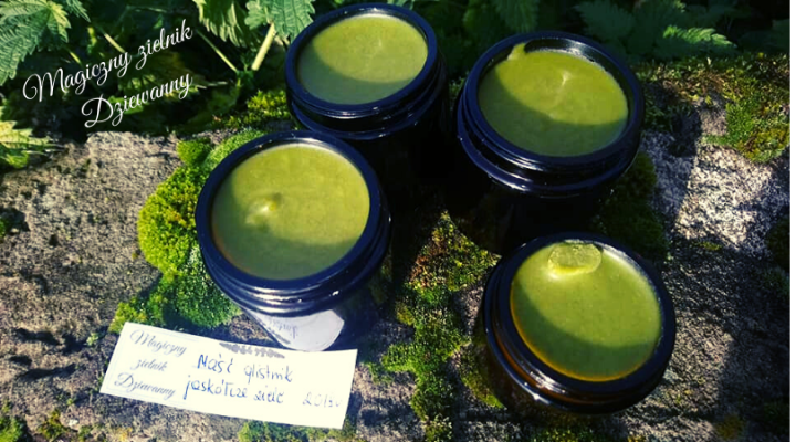 Magiczny zielnik Dziewanny.png