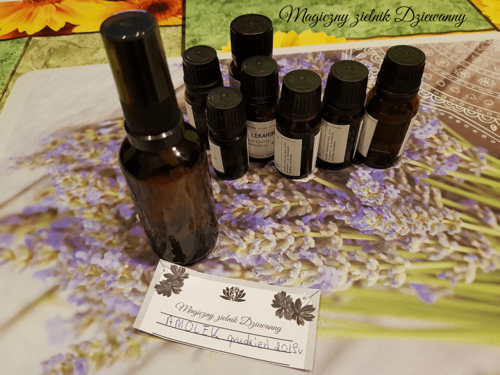 Magiczny zielnik Dziewanny.png