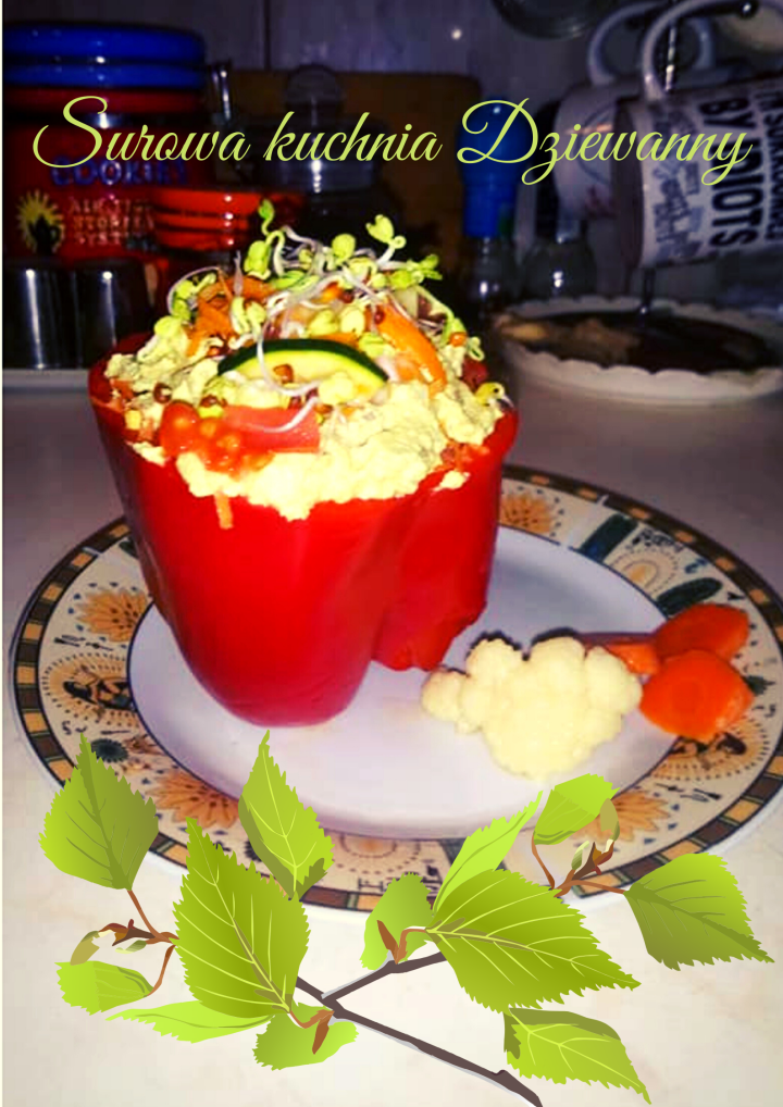 Surowa kuchnia Dziewanny(1).png