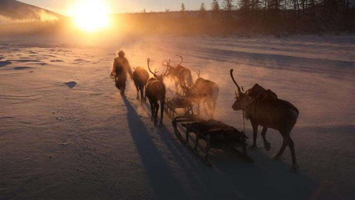 zycie-syberyjskiego-hodowcy-reniferow.jpg