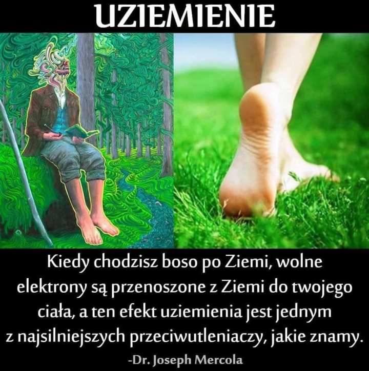 183530385_325050205649244_2962504148908121659_n