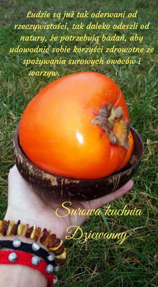 79649867_1823786134425446_3306949093628051456_n