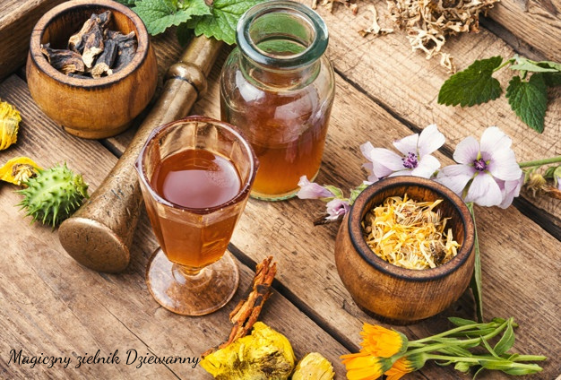 Magiczny zielnik Dziewanny.png