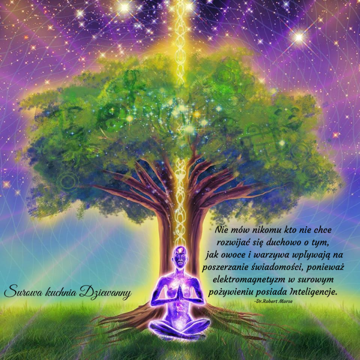 Nie mów nikomu kto nie chce rozwijać się duchowo o tym, jak owoce i warzywa wpływają na poszerzanie świadomości,ponieważ elektromagnetyzm w surowym pożywieniu posiada Inteligencje..png