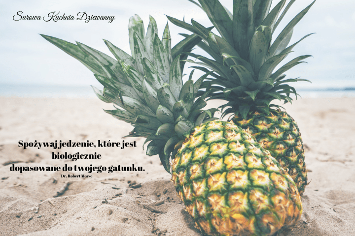 Spożywaj jedzenie, które jest biologicznie dopasowane do twojego gatunku..png