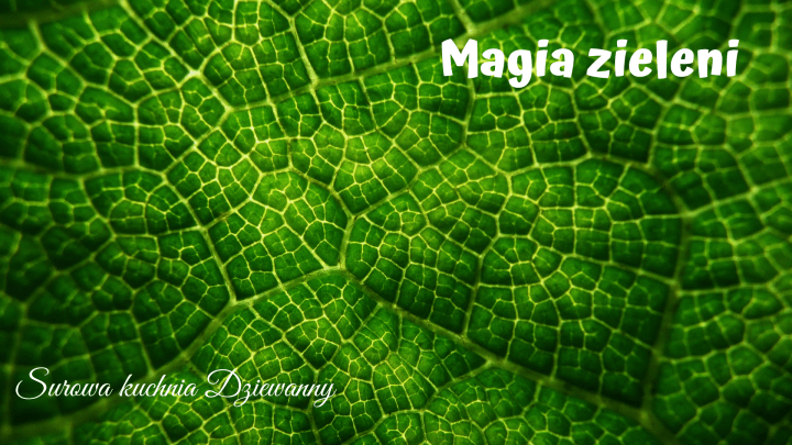 Surowa kuchnia Dziewanny(1).png