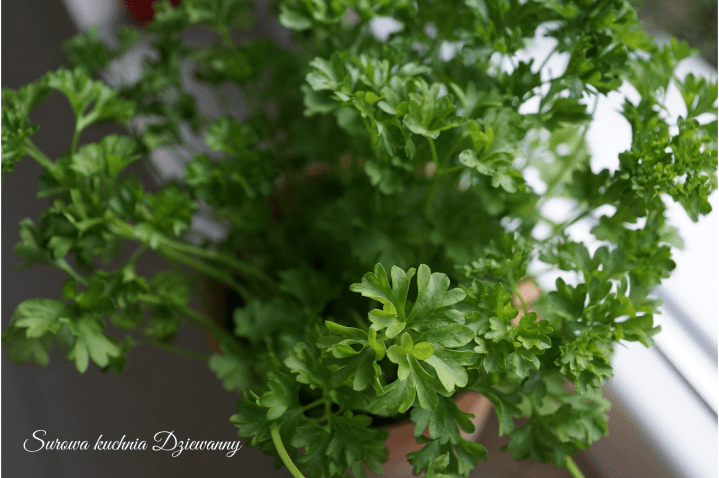 Surowa kuchnia Dziewanny(1).png