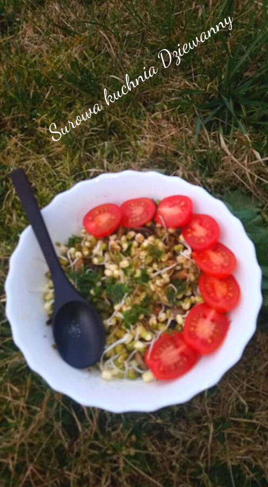 Surowa kuchnia Dziewanny(1).png