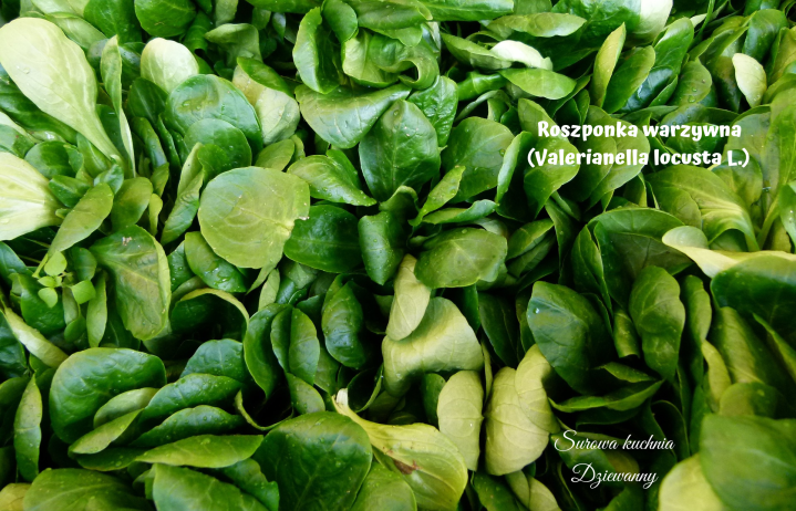 Surowa kuchnia Dziewanny(1).png