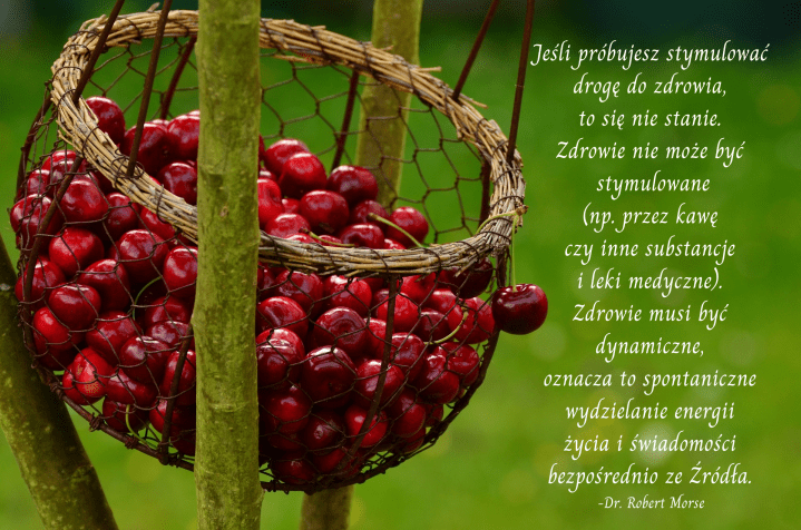 Jeśli próbujesz stymulować drogę do zdrowia, to się nie stanie. Zdrowie nie może być stymulowane (np. przez kawę czy inne substancje i leki medyczne), zdrowie musi być dynamiczne, oznacza to spontaniczne wydzielanie .png