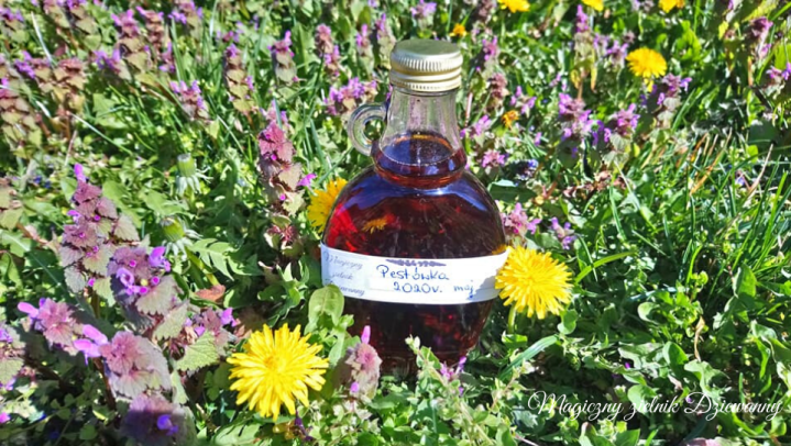 Magiczny zielnik Dziewanny(1)