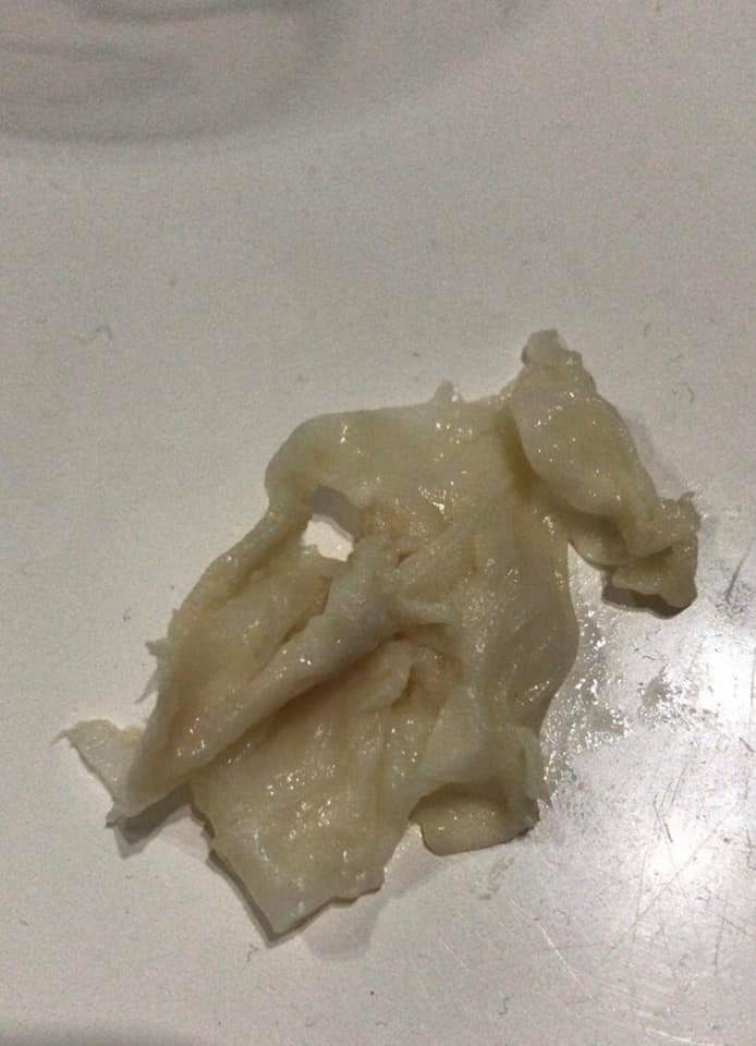 241114460_4301601759931156_8385920715142013888_n