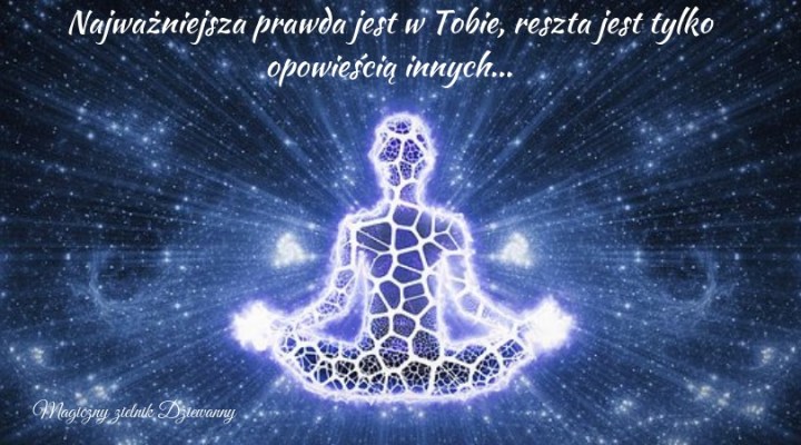 60765094_1619822971488431_7450102837746335744_n