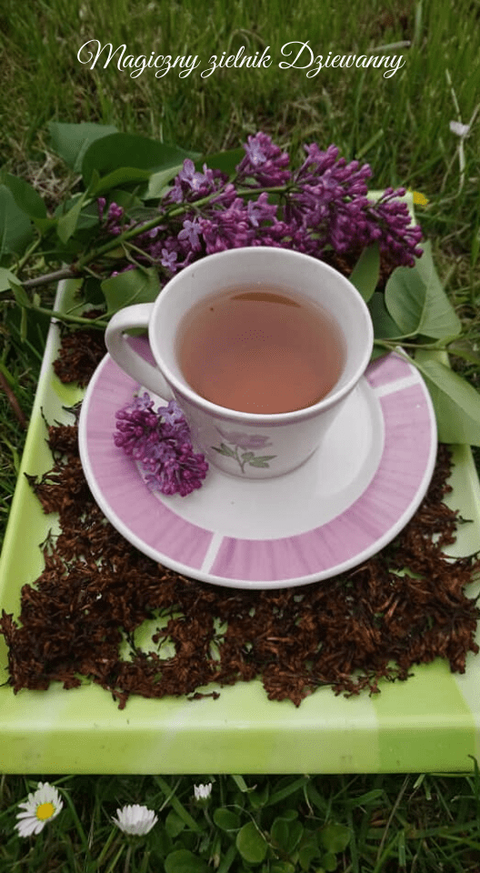 Magiczny zielnik Dziewanny(1).png