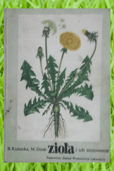 Projekt bez tytułu(1)