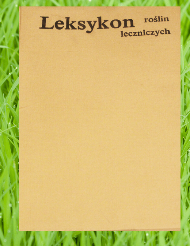 Projekt bez tytułu(1)