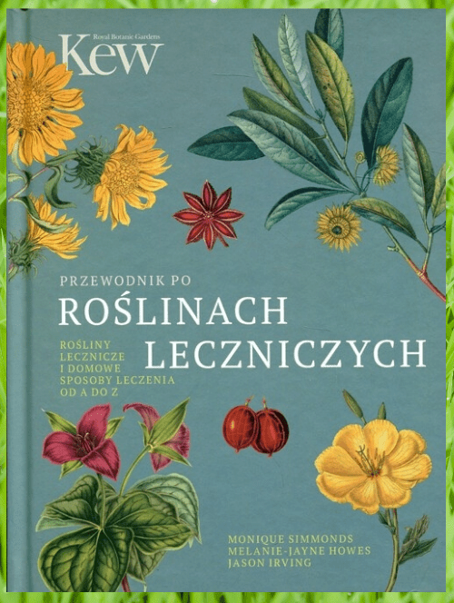 Projekt bez tytułu(1)