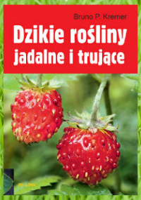 Projekt bez tytułu(1)