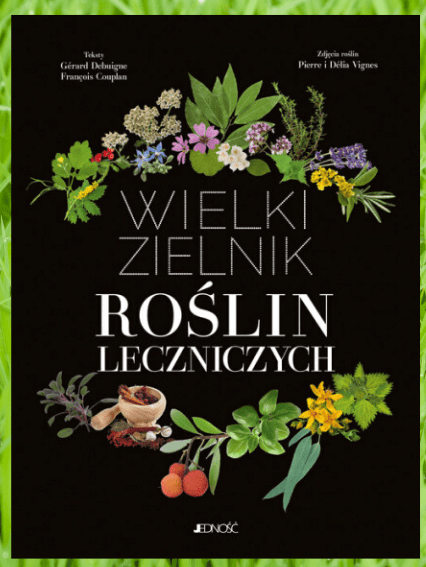 Projekt bez tytułu(1)