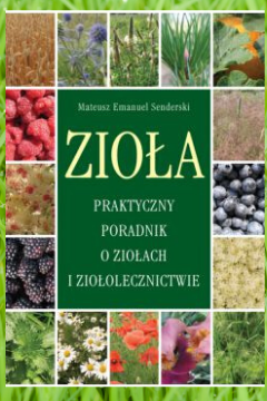 Projekt bez tytułu(1)