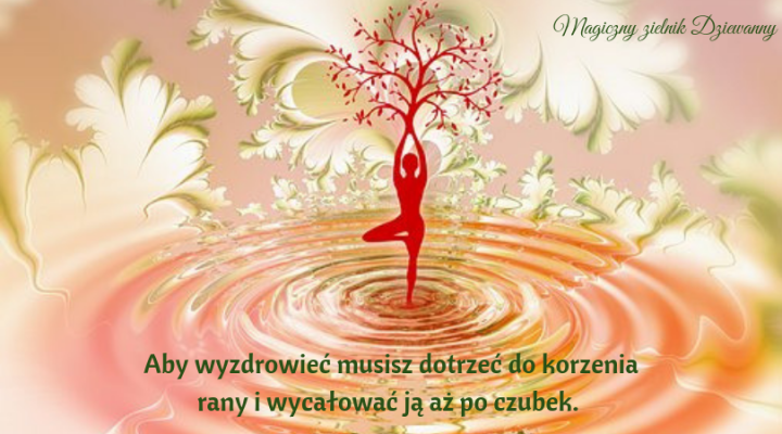 Aby wyzdrowieć musisz dotrzeć do korzenia rany i wycałować ją aż po czubek.