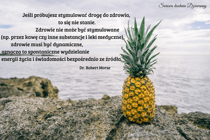 Jeśli próbujesz stymulować drogę do zdrowia, to się nie stanie. Zdrowie nie może być stymulowane (np. przez kawę czy inne substancje i leki medyczne), zdrowie musi być dynamiczne, oznacza to spontaniczne wydzielanie