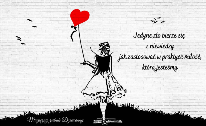 Jedyne zło bierze się z niewiedzy jak zastosować w praktyce miłość, którą jesteśmy