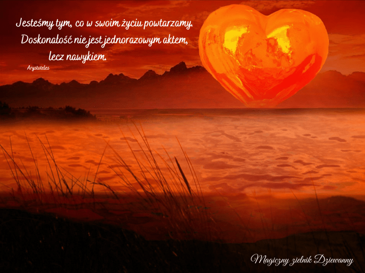 Jesteśmy tym, co w swoim życiu powtarzamy. Doskonałość nie jest jednorazowym aktem, lecz nawykiem.