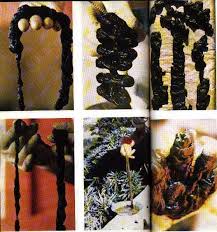 73095489_1773706766100050_2986263277413072896_n