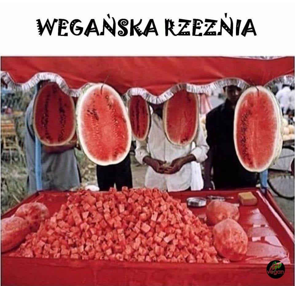 242880845_2483592941778092_6169099319081617688_n