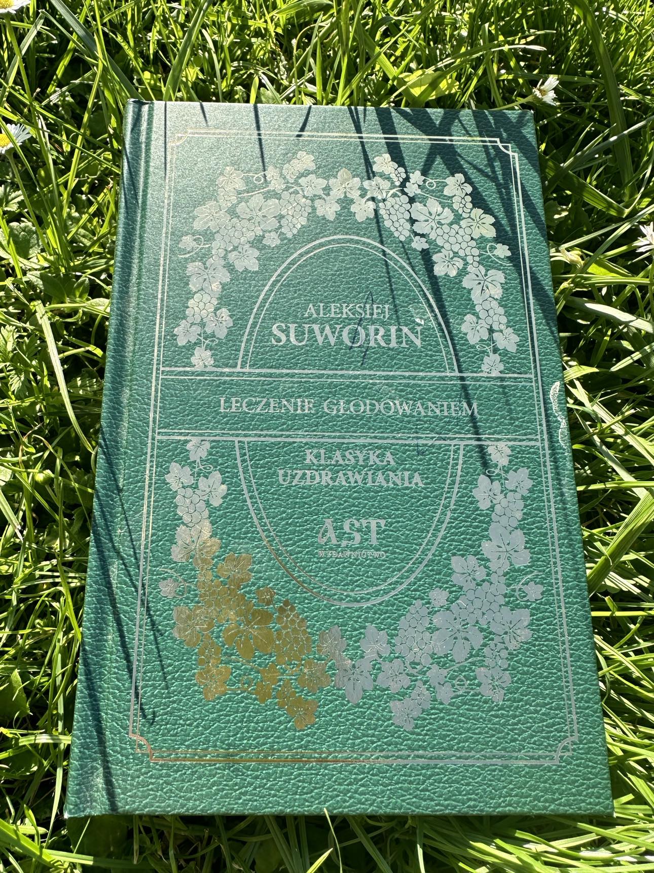 373473105_1820155311773789_5170290378413278684_n