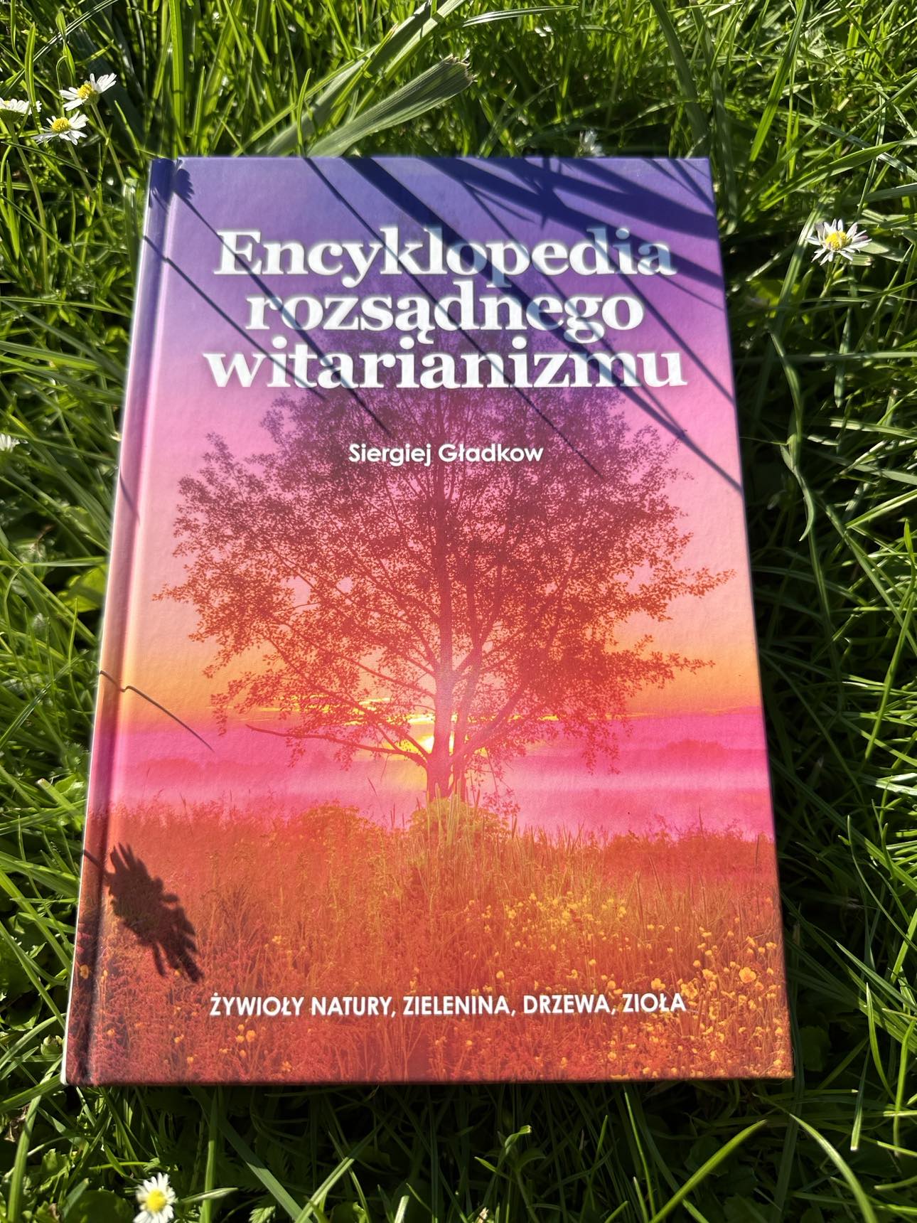 374991526_2008436099511622_2744144129283242219_n