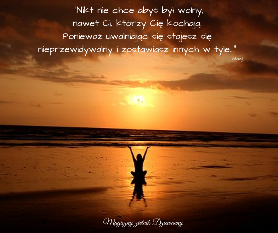 _Nikt nie chce abyś był wolny, nawet Ci, którzy Cię kochają. Ponieważ uwalniając się stajesz się nieprzewidywalny i zostawiasz innych w tyle._