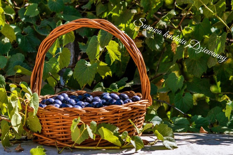 369713037_3102719769865403_3623441773513310477_n