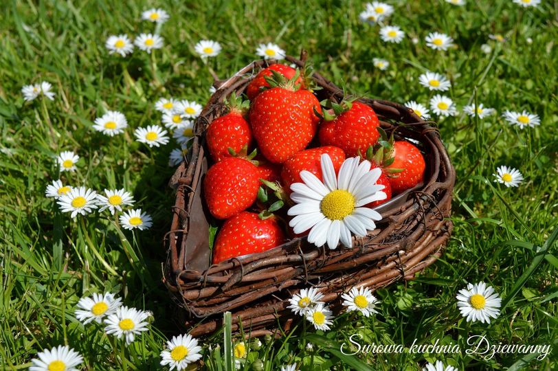 200135124_2385193131618074_6325465811841716816_n